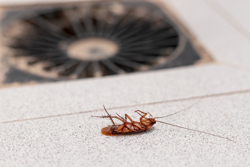 Commercial Pest Control